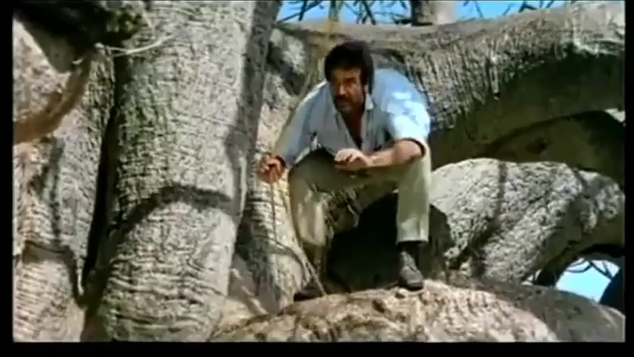 Cartoon video funny video