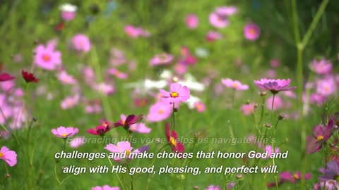 Romans 12:2 for me