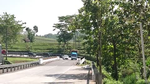 Vegetable delivery trucks and buses were being chased when they were speeding