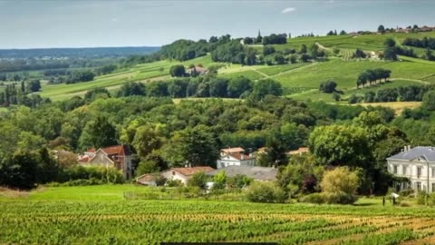 Top 10 Most Expensive and Vintage Red Wines in the World