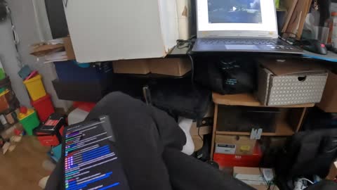 2022-10-01 (1) - Habillage du Pixel 6 - Twitch Decheterie