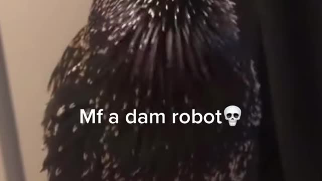 Mf a dam robot