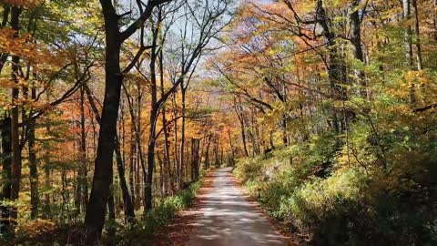 Take Me Home, Country Roads - Music Travel Love (John Denver Cover)