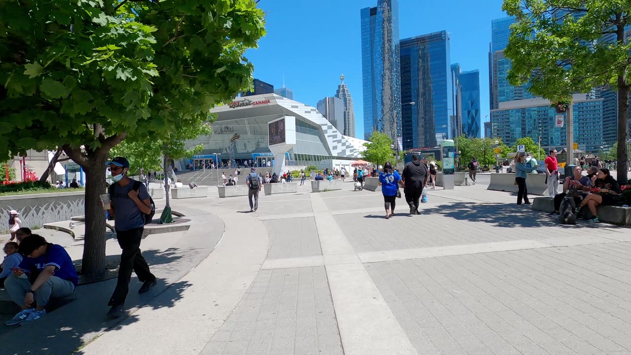 Toronto Downtown Roger Centre and CN Tower