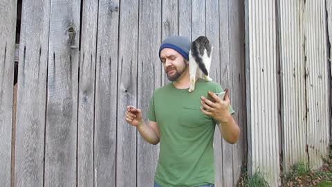 Jealous cat bombs Halloween video