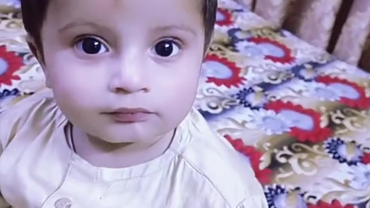 Funny video