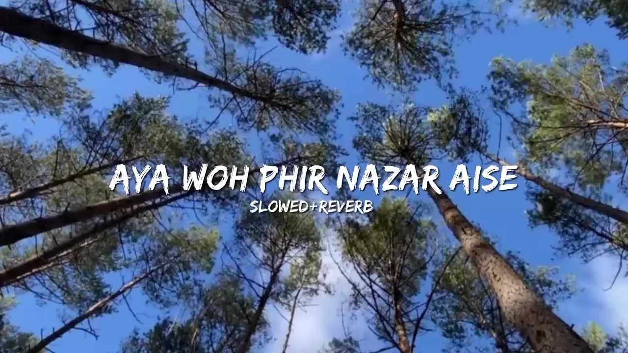 Aye woh bhir najar aise. Slowed reverb song lyrics in hindi