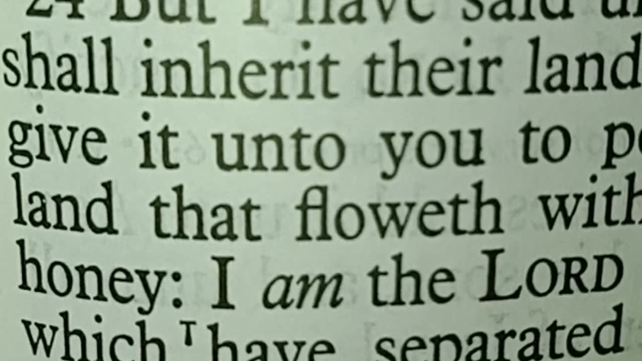 You think 🤔 Jesus created everything and that everything is good. Part 5