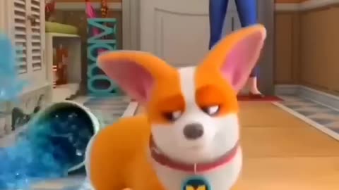 New Puppy Funny Video