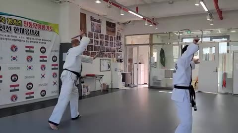 Hapkido
