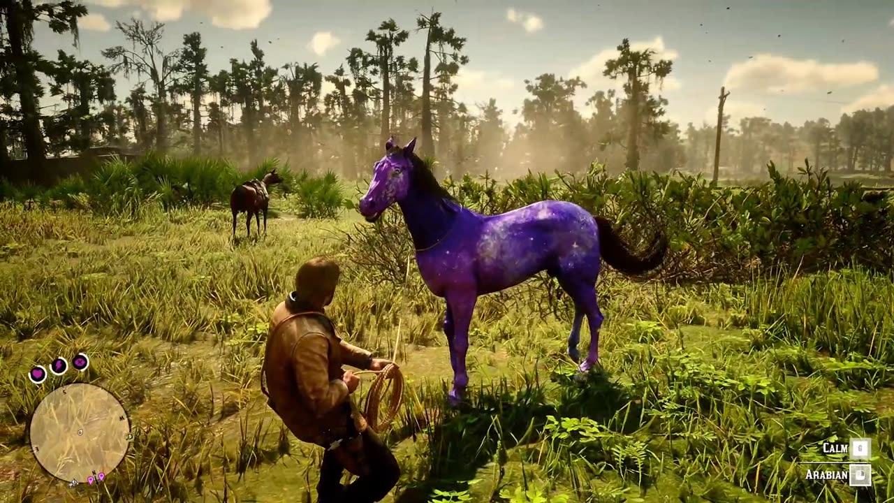 Arthur catch a beautiful Horse - Red Dead Redemption 2 Gameplay