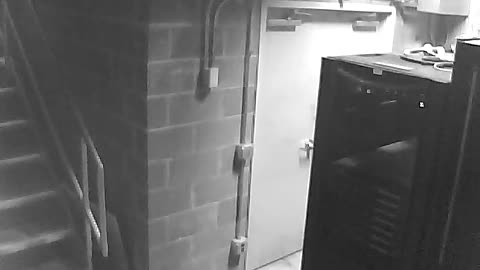 3144RHOBG4-15Treehouse_2021-01-05_00h40min00s807ms.mp4