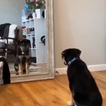 Practicing saying Hi