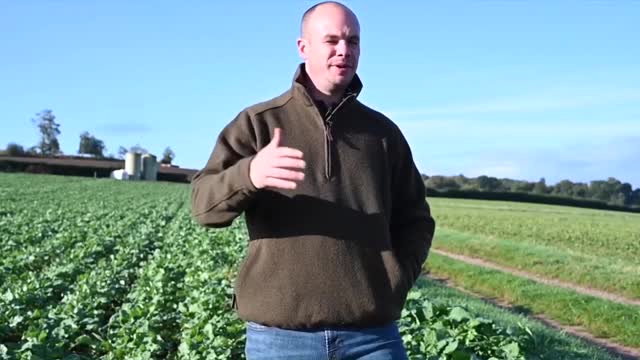 Ed the Agronomist talks about no-till farming