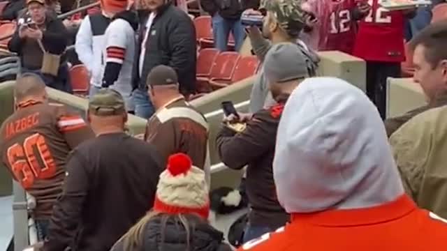 Skunk in the stands at the Browns-Buccaneers game