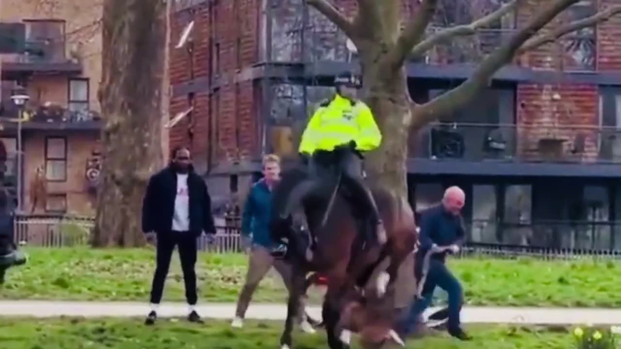 Horse get attacked by dog 😱😱😱