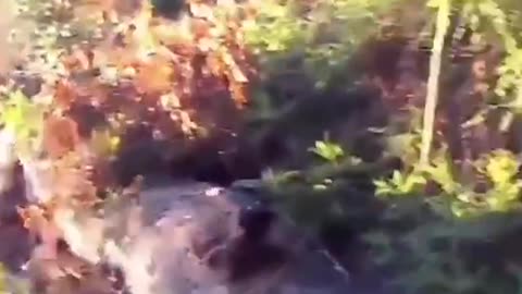 New Combat Footage