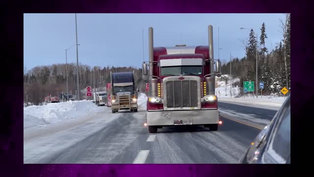 This VIDEO will inspire Freedom Lovers. Dee Snyder maybe not so happy.