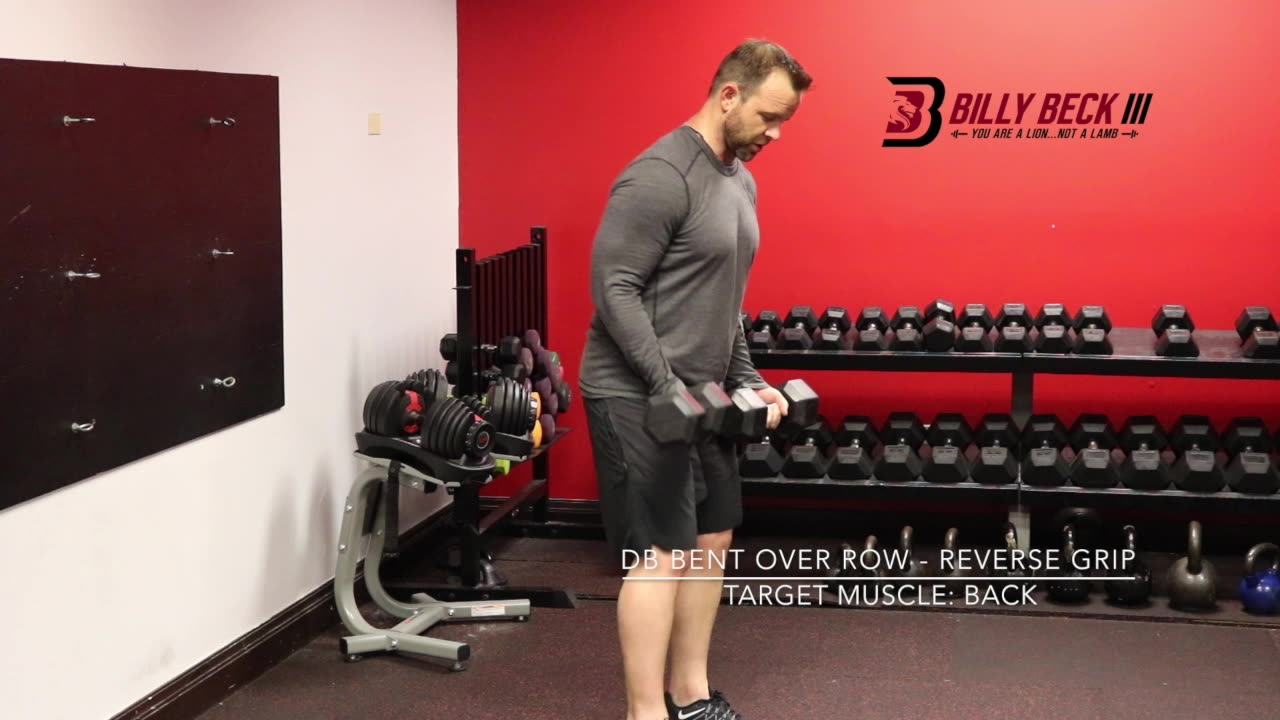 DB Bent Over Row - Reverse Grip