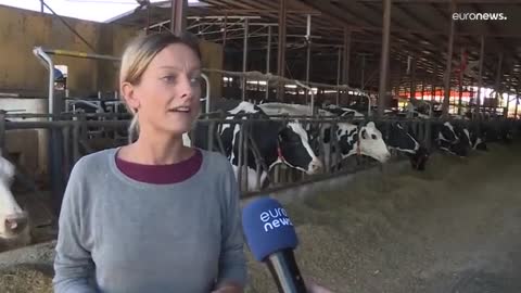 Italian farm making cheap fuel from cow waste.