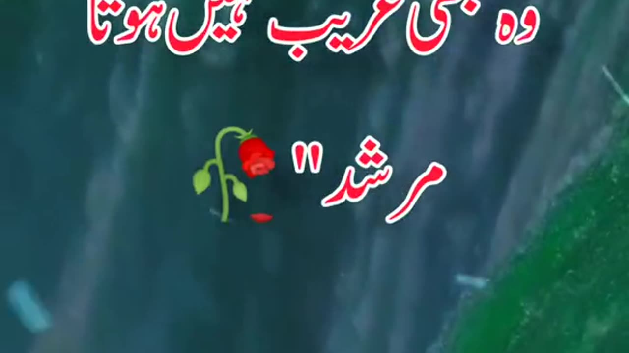 Jo Maa Bap Ki Qadar Karta Hai | جو ماں باپ کی قدر کرتا ہے | Faizan Digital
