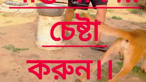 funny new fun funny jokes funny videos funny animal
