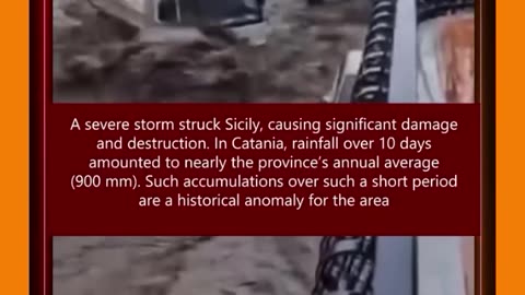 🚨 WHAT'S GOING ON IN THE WORLD!