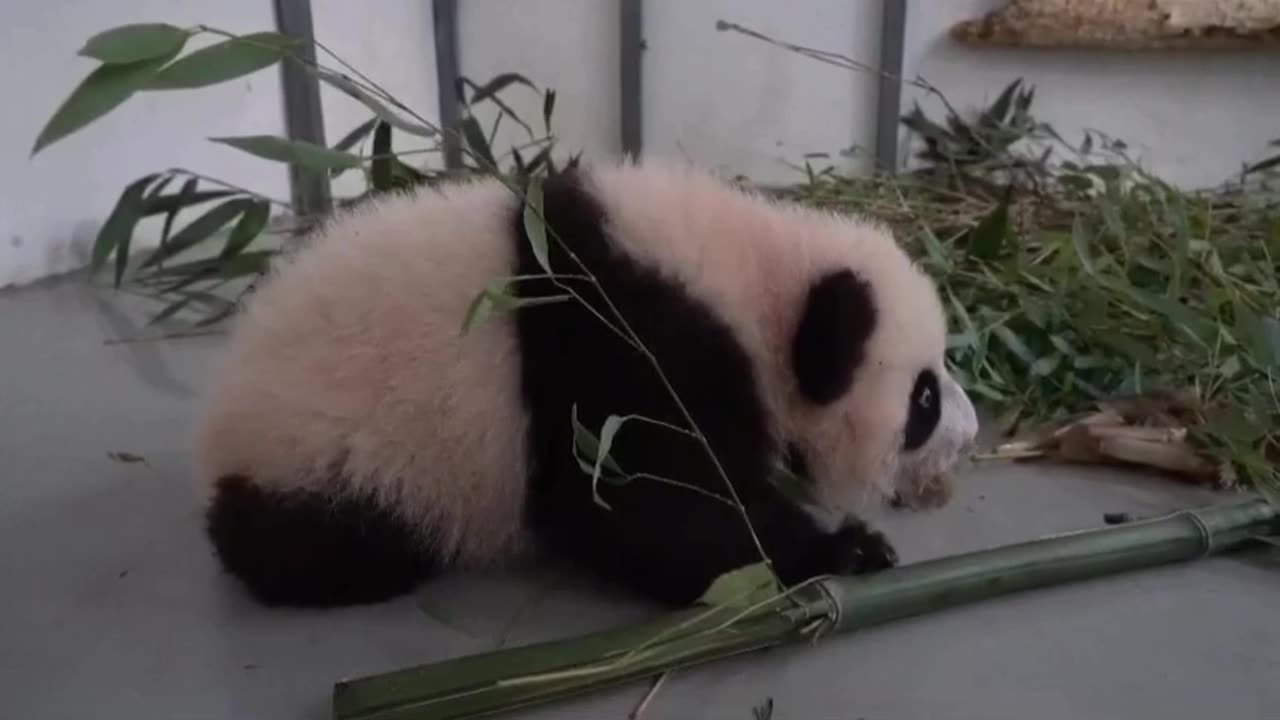 Me. After one too many eggnogs at the Christmas party