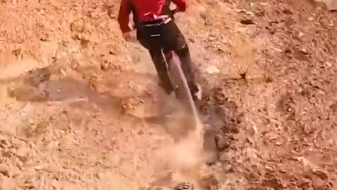 World crazy's mountain rider