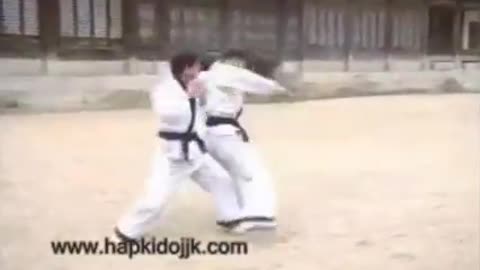 Great Hapkido/Hankido
