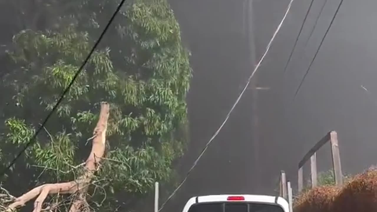 Maui Fires - Minutes Before Destruction
