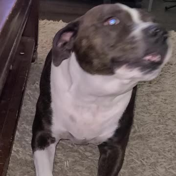 I'm so tired.. I'm gonna crawl to you