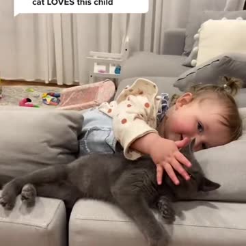 cat parents know that this cat loves this child