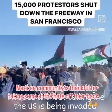 Maga racist liberal Palestine israel Gaza strip shildren hospital mexican immigrants