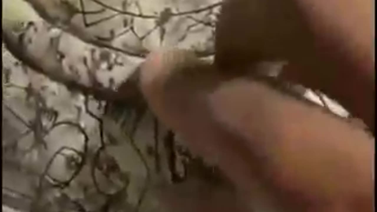 Děsivý objev v podzemí v Mexiku, neuvěříte, co našli.