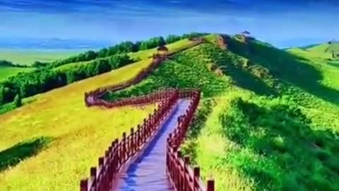 Beautiful view