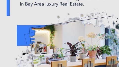 Bay Area Luxury Market: Sales Surge by Two-Thirds