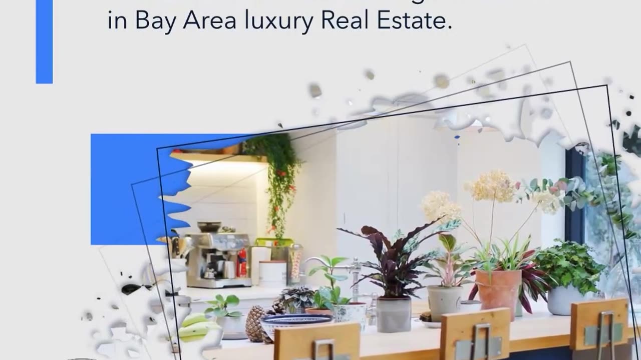 Bay Area Luxury Market: Sales Surge by Two-Thirds