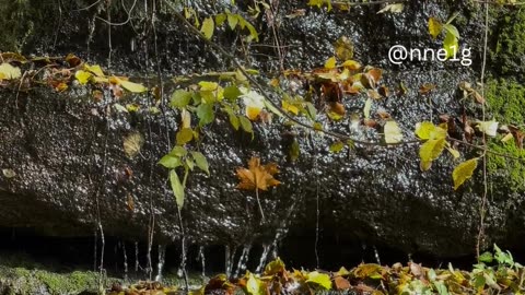 Be More Aware of Yourself