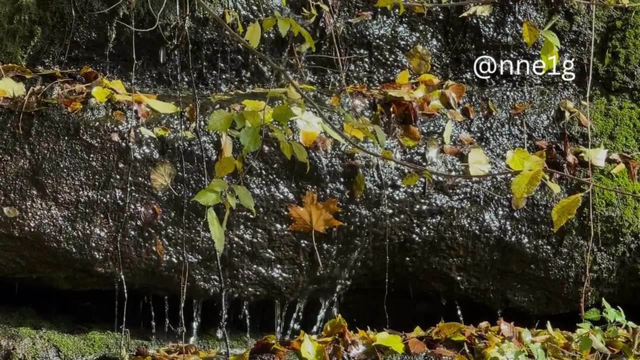 Be More Aware of Yourself