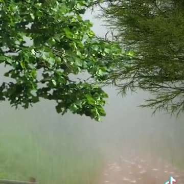 Gr liton Natural Clips, Natural Video Clips # - 89