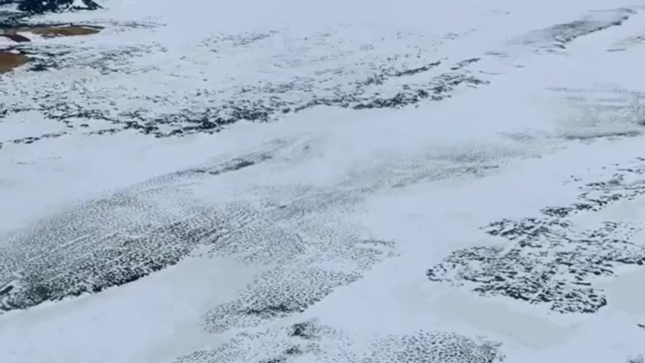 🌋❄️Exploring Iceland’s Empty Lava Fields & The Icy Peaks of Snæfellsjökull! 🌋❄️