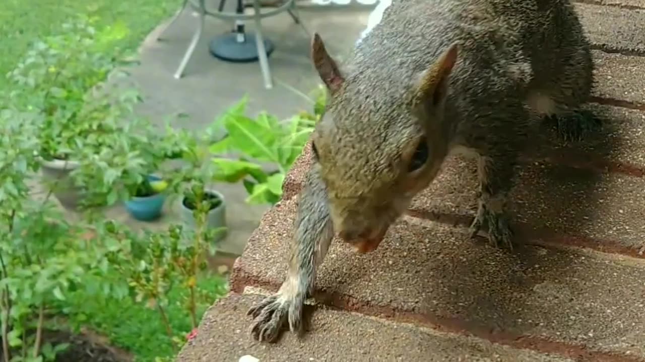 Showing kindness to animals is the best thing you can do.