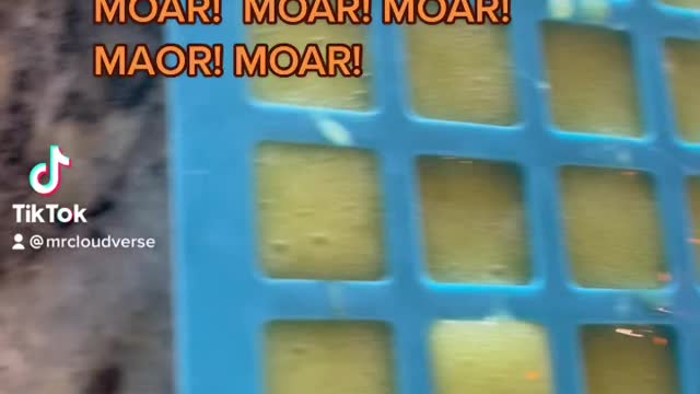 Delta 8 gummies never stop coming!