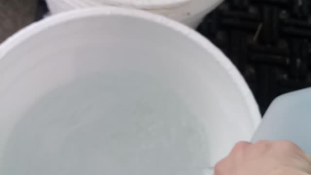 Water for the Animals