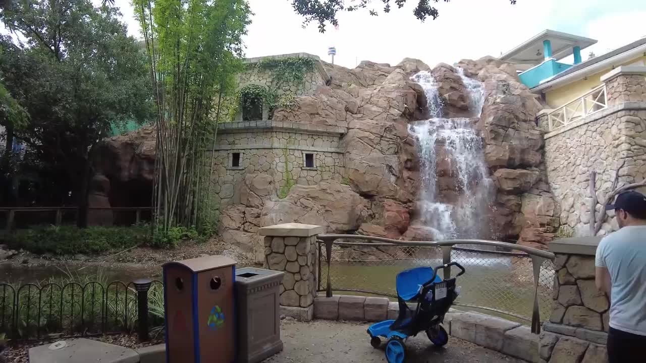 Top Things to Do at SeaWorld Orlando You Can’t Miss!