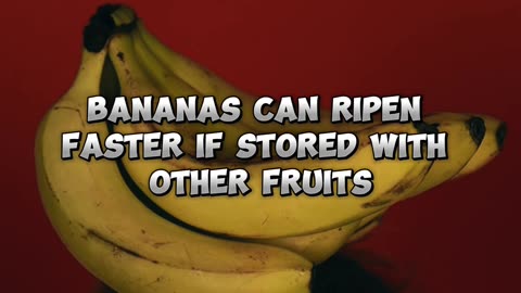 Banana Fun Facts