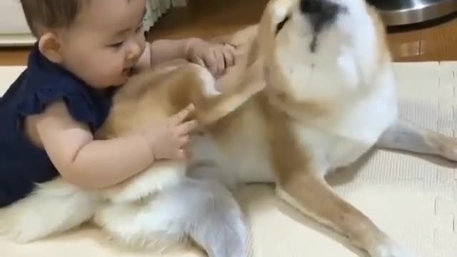 Child and puppy are good friends