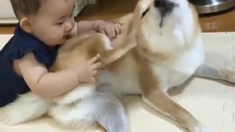 Child and puppy are good friends