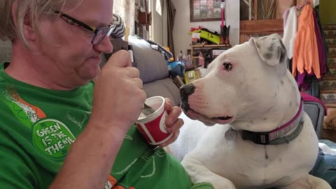 Must share Italian Ice